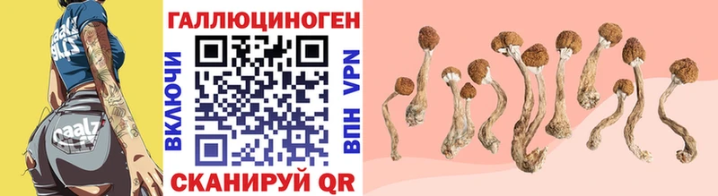 Псилоцибиновые грибы MAGIC MUSHROOMS  Коряжма 